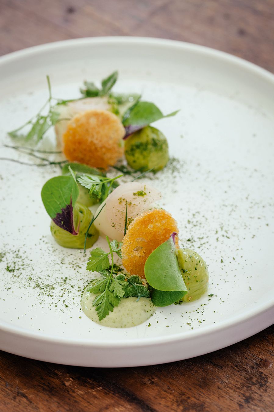 Benoit & Bernard Dewitte Zingem